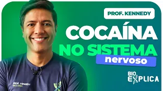 EFEITOS DA COCAÍNA NO SISTEMA NERVOSO