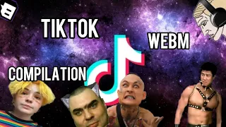 ПОДБОРКА МЕМОВ ИЗ ТИКТОК // TIKTOK WEBM COMPILATION 67