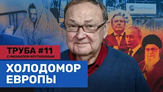 Крутихин: ЕС не запугать. Иран «Газпрому» не поможет. Как Германия подсела на русский газ/ Труба #11