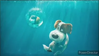 the secret life of pets:off the leash:max underwater slow motion
