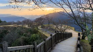 Crack of Dawn Climb to Castle in the Sky | Takeda, Japan 4K Sunrise Walk