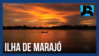 Marajó: ilha reúne belezas e enfrenta desafios em meio aos rios da Amazônia e o oceano