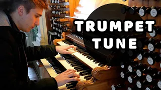 Trumpet Tune in D-Major (Paul Fey) on the Great "Sonnenorgel" in Görlitz - Pipe Organ Music