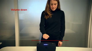 Smart speaker demo - gesture control with radar and AI