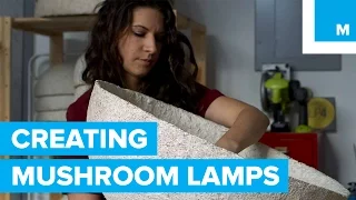 Sustainable Lamps Are Literally Grown From Mushrooms | Mashable
