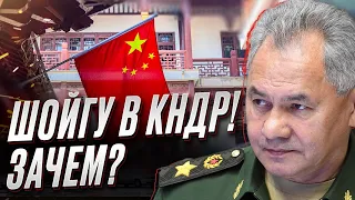 ❓ Шойгу поехал в Северную Корею просить оружие?! | Виталий Кулик