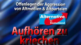 Wie die AfD dem Angriff auf die Integrität durch Medien und Parteien begegnen sollte