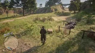 RDR2 Glitch: Horse Falling from Sky