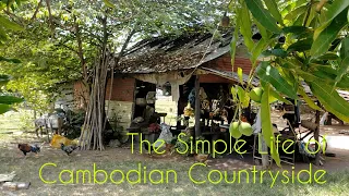 The Simple Life of Cambodian Countryside 2023