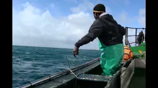 Chokka Fishing in the Eastern Cape