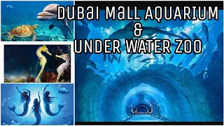 Dubai Mall Aquarium & Under Water Zoo | Must Visit Places In Dubai