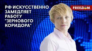 РФ бойкотирует зерновую сделку? Вопрос инспекции судов. Разъяснения эксперта