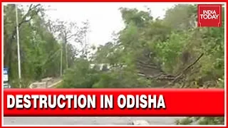 Cyclone Fani Leaves Odisha Coast Battered, Roads And Power Lines Destructed