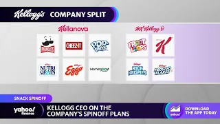 Kellogg spinoffs are ‘a tradeoff between economies of scale’ and strategic focus: CEO