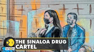 Emma Coronel Aispuro, Wife Of Mexican Drug Lord El Chapo Sentenced To Three Years | English News