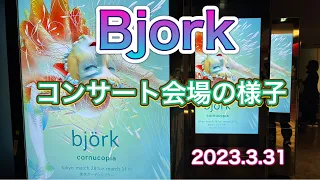 Bjorkビョーク cornucopia コンサート会場の様子 有明 東京ガーデンシアター 2023/3/31