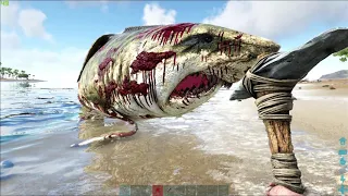 Выбросилась огромная акула на берег и умерла - ARK Survival Evolved