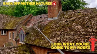 I HALT Nature Dead In Its Tracks, Before It Takes Over, & ENGULFS This Roof!!