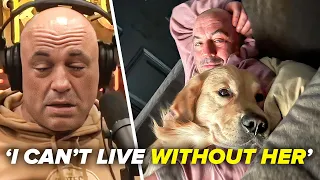 Joe Rogan's Most EMOTIONAL Interviews..