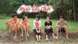 MÙA LÚA CHÍN | Hai Anh Em Phần 95 | Phim Hài Mới Nhất | Phim Ngắn Hài Hước Gãy TV