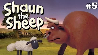 Shaun The Sheep S03E20   Bull vs  Wool