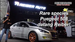 RARE SPECIES PEUGEOT 508 | ABSORBER DAH MACAM NAIK SAMPAN | REIBER AUTO