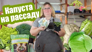 Когда сажать капусту на рассаду? Сроки посева всех видов капусты!