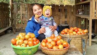 FULL VIDEO ; New daily life of Duong Va Be & harvesting agricultural products and fruits for sale