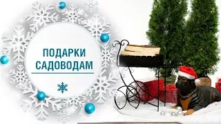 Что подарить садоводам к Новому году? 🎄 Идеи оригинальных подарков от hitsad.ru