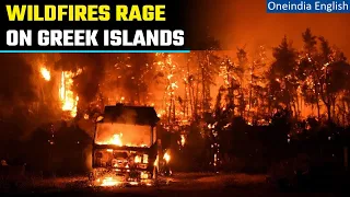 Greece Wildfire 2023 : Corfu latest Greek island to evacuate tourists after Rhodes | Oneindia News