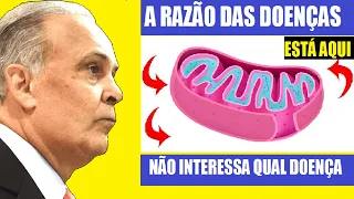 USAR COENZIMA Q10 EM DOENÇAS E FADIGA É COMO REGAR UMA PLANTA , MELHORA NA HORA | DR LAIR RIBEIRO