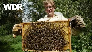 neuneinhalb – Deine Reporter: Bienensterben | WDR