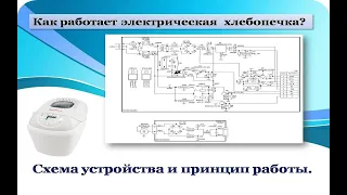 Как работает электрическая хлебопечка.  Схема устройства и принцип работы.   Moulinex