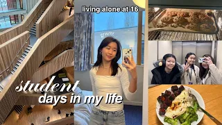 life at the university of warwick as an internatonal student | groceries, classes, cooking