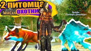 wow охотник гайд! Как Охотнику сделать двух Питомцев? World of Warcraft