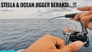 REEL SHIMANO STELLA MENJERIT || PANEN TENGGIRI || REEL & ROD BARU AMIS...!!!