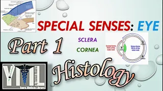 Special senses — Eye (Sclera, Cornea) — Part 1