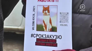 В Мелекеске обнаружили труп собаки с пакетом на голове.