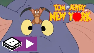 Tom & Jerry in NYC | Museumvrede ​​| Cartoonito