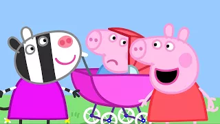 Peppa Wutz | Das Baby Schweinchen | Peppa Pig Deutsch Neue Folgen | Cartoons für Kinder
