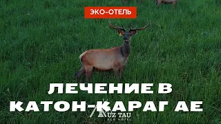 Катон-Карагай, пантолечение, современный эко-отель Muz Tau