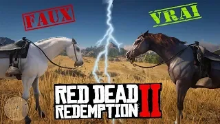 Le VRAI MEILLEUR CHEVAL RDR2 (MONTER SON CHEVAL AU MAX)