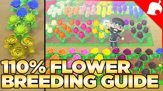 The FULL Flower Breeding Guide for Animal Crossing New Horizons