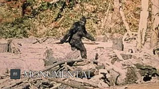 Bigfoot Stories - Patterson-Gimlin Film