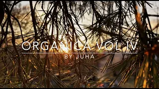 Organica Vol IV (an organic house & downtempo hybrid dj set)