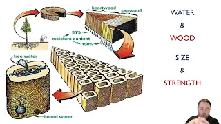 Effects of Moisture and Shrinkage of Wood