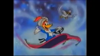 The Woody Woodpecker Show bumpers (1987)