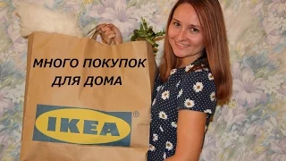 МНОГО покупок в ИКЕЕ. Есть идея - есть IKEA! *MsKateKitten