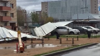 Вологодская область приходит в себя после урагана