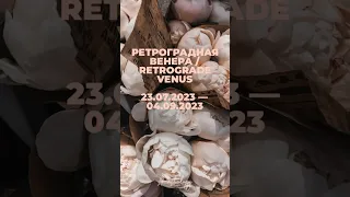 Ретроградная Венера 23.07.2023 - 04.09.2023 #гороскоп